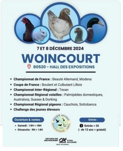 affiche WOINCOURT 7 et 8 decembre 2024